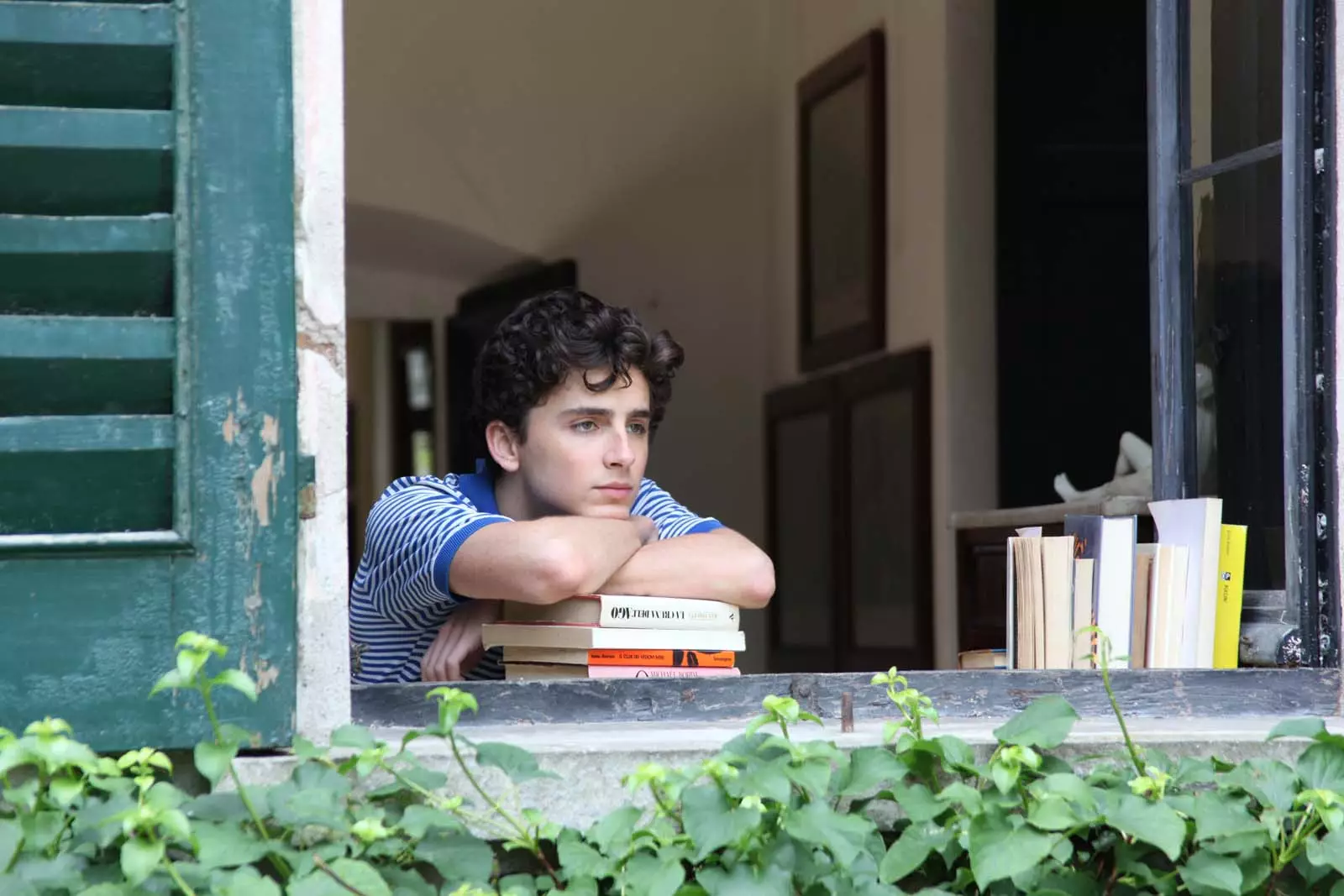 scene from Call Me By Your Name scene from Call Me By Your Name
